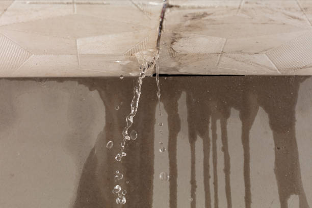Professional Water Damage Repair technician working in Micro, NC